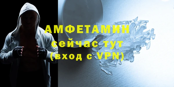 сатива Аркадак
