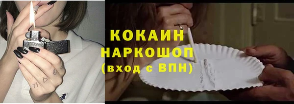 сатива Аркадак