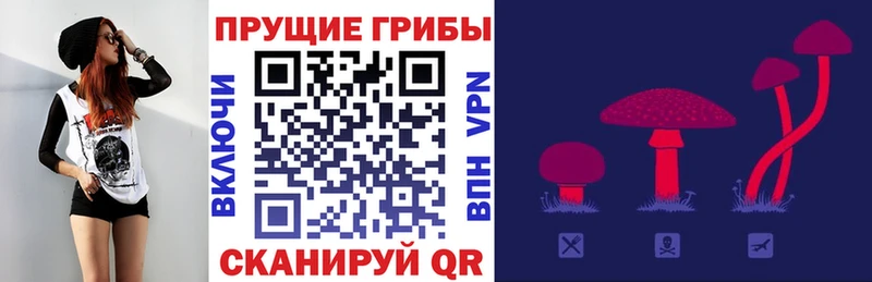 Псилоцибиновые грибы GOLDEN TEACHER даркнет сайт Нефтекумск